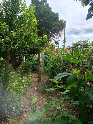 Chalet en venta en Castiñeiriño - Cruceiro de Sar en Santiago de Compostela