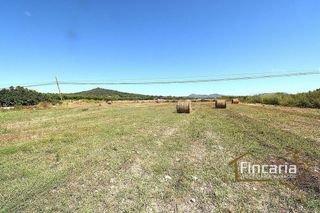 Casa rural en venta en Manacor Centro en Manacor