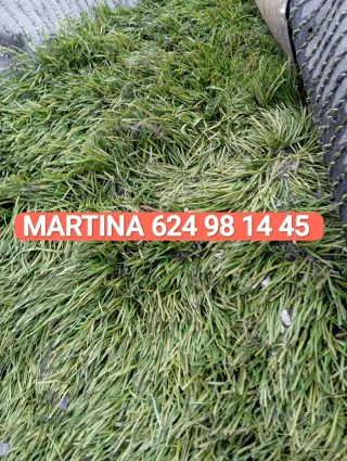 Césped artificial reciclado