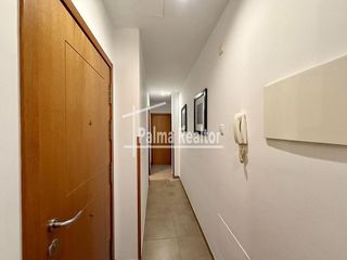Piso en alquiler en Sindicat en Palma de Mallorca