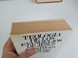 X. PIKAZA Y F. DE LA CALLE, Teologia Evangelios