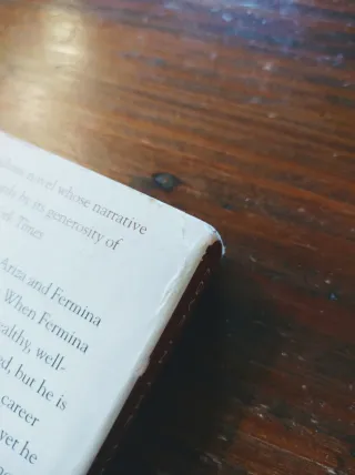 Love In The Time Of Cholera. Lyubov' Vo Vremya ...