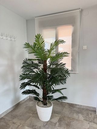 Chalet en venta en Zona Playa en Burriana