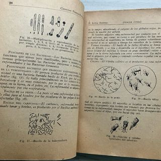 Ciencias Cosmológicas - Fisico Naturales