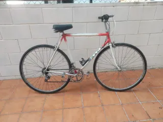 Bicicleta GAC