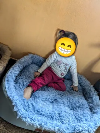 2 Camas para Perro Mediano