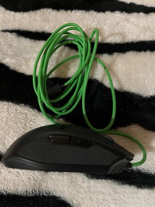 Mouse HP Nero con cavo verde