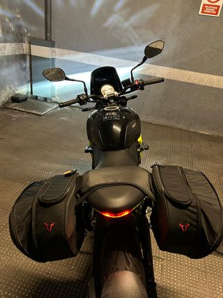 TRIUMPH Trident 660 2024