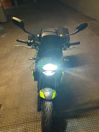 TRIUMPH Trident 660 2024