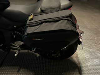 TRIUMPH Trident 660 2024