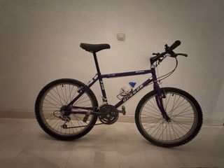 Bicicleta Montaña Oregon P.310 Morada