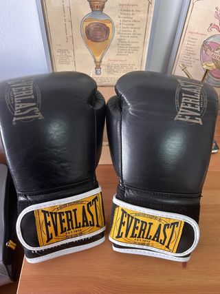 Guantes de Boxeo Everlast Est. 1910