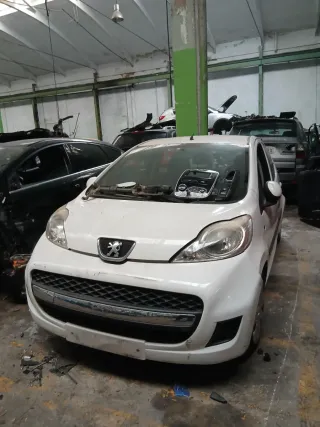 Despiece Peugeot 107 (2009)