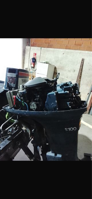 Barca Bassboat Verde con remolque