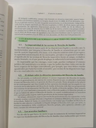 Compendio de derecho de familia. Trabajo social...