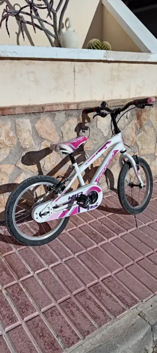 Bicicleta Infantil Megamo 16”