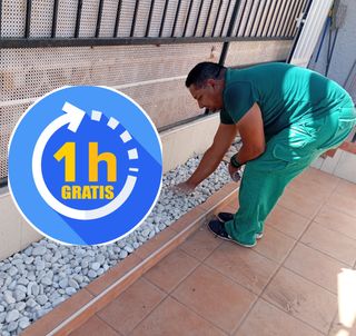 Jardinero con experiencia