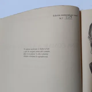 Libros dibujos Gozon,Laviana, Mieres por Benxa