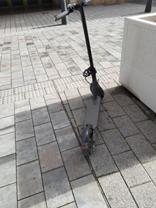 Patinete Eléctrico Xiaomi Mi 365