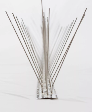 Dissuasori piccioni acciaio inox 25x1MT