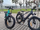 Bicicleta eléctrica ENGWE E26 potente y legal