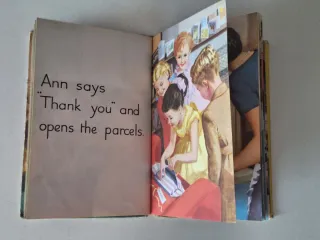 Libro "The Party" (1960)