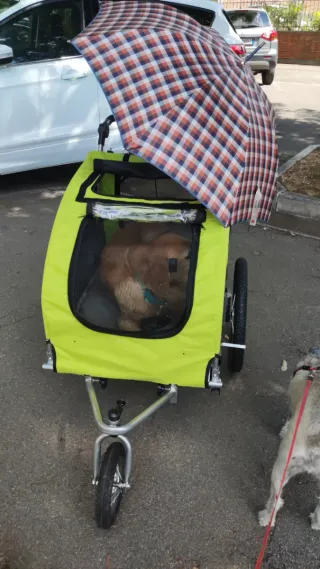 Carrito para perro gris y verde