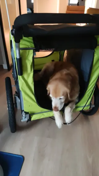 Carrito para perro gris y verde