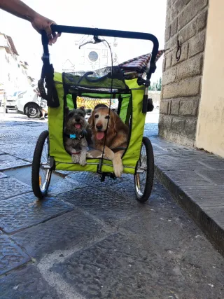 Carrito para perro gris y verde