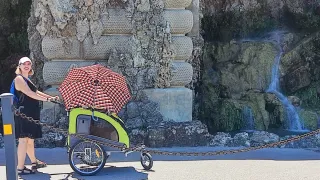Carrito para perro gris y verde