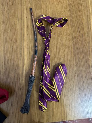 Disfraz Harry Potter Gryffindor