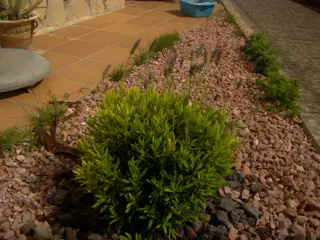 Cámara Digital Compacta NGS Zoom 12x