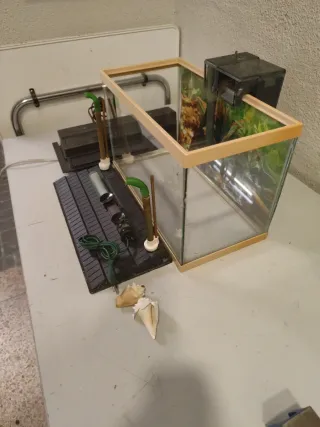 Pecera 20L con accesorios