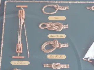Cuadro Nudos Marineros con Útiles