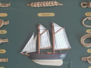 Cuadro Nudos Marineros con Útiles