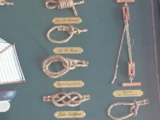Cuadro Nudos Marineros con Útiles