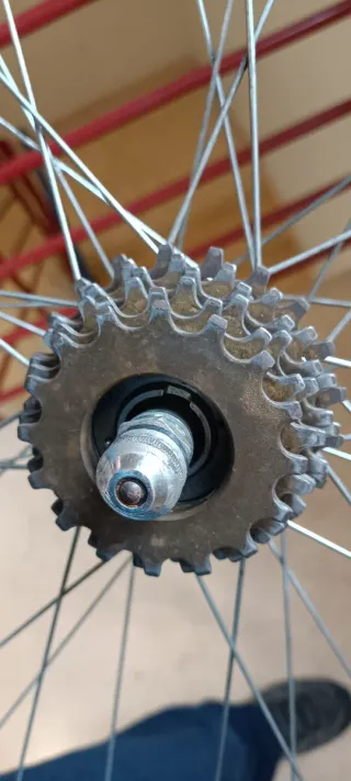 Ruedas Clásicas Benotto