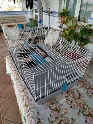 Jaula para hurón y roedores