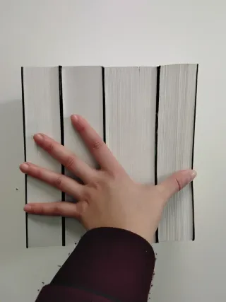 Lote 4 Libros Canción de Hielo y Fuego (Ed.Grande)