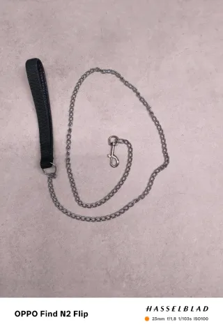 Correa para perro de cadena y asa