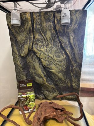 Terrario para Iguanas Negro/Transparente