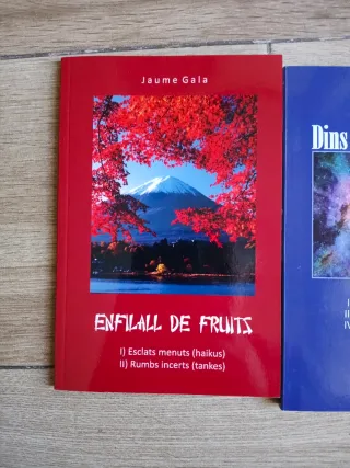 Libros liquidación firmado