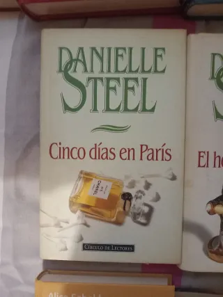 Danielle steel 5 días en paris