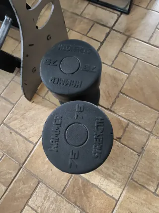 Rack Mancuernero Gym80 Mancuernas Hammer Strength