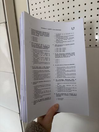 MANUALES FIR 2024/2025