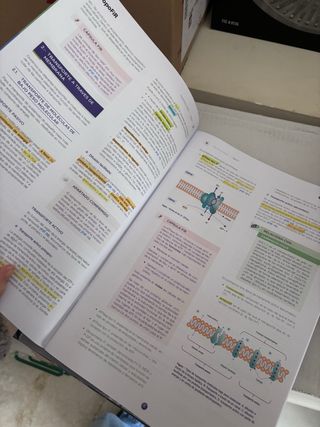 MANUALES FIR 2024/2025