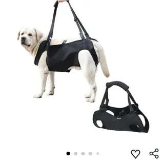 Arnés para perro negro