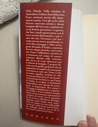 La ragazza dietro al filo spinato