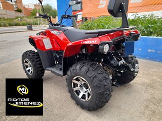 ATV LINHAI Z210 2X4