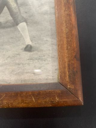 Reproducción Fotografía Taurina